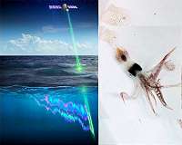 NASA, French space laser measures massive migration of ocean animals