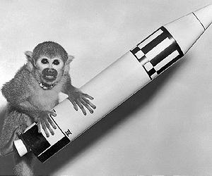 Iran To Put Monkey Into Orbit