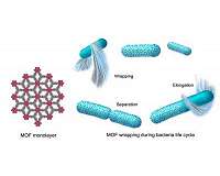 'Spacesuits' protect microbes destined to live in space