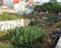 Race on to make urban agriculture viable, durable
