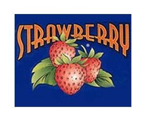 Early-season strawberry tested in high elevation conditions