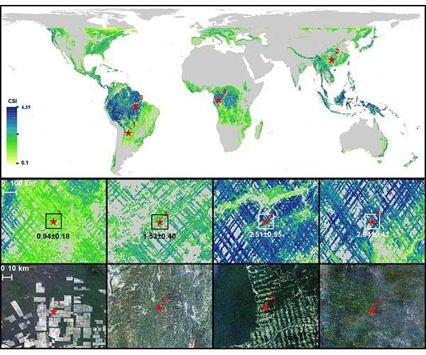 Study sheds light on how human activities shape global forest structure