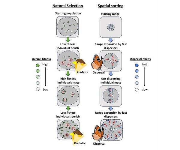 Climate catastrophe produced instantaneous evolutionary change
