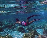 Lebanon's spearfishers fight to preserve stocks