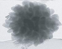 Caltech Geobiologists Discover Unique Magnetic Death Star Fossil