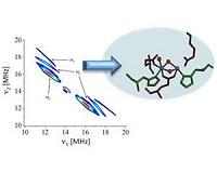 New spectroscopy method captures reactions in photosynthesis