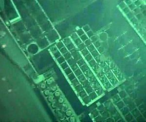 Studies examine health consequences of meltdown, damage to Fukushima nuclear power plants in Japan