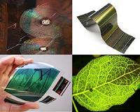 Spider's web weaves way to advanced networks and displays