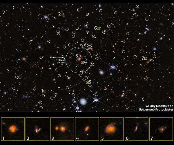 Webb Telescope unveils unexpected details in Spiderweb Protocluster