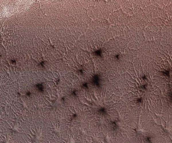 Trinity researchers tackle the spiders from Mars