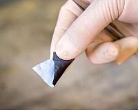 'Spillway' for electrons could keep lithium metal batteries from catching fire