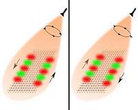 New way to control particle motions on 2-D materials