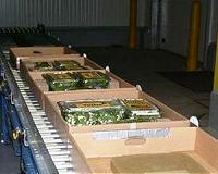 Better dsinfecting of spinach, salad greens would reduce illness