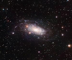 A Picture-Perfect Pure-Disc Galaxy
