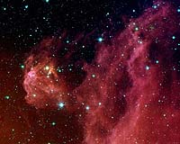 Baby Stars Hatching In Orion's Head
