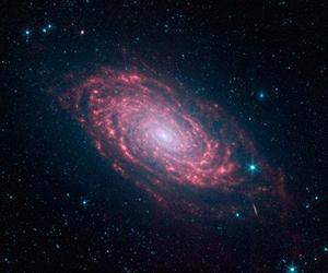 Spitzer Captures Infrared Rays From A Sunflower