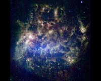 The Magellanic Group And Its Seven Dwarf Galaxies