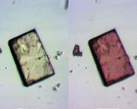 Swiss cheese crystal, or high-tech sponge?
