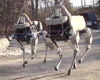 Marines send robotic dog into simulated combat