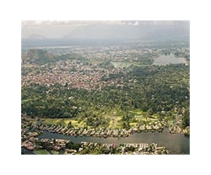 Timber smuggling rife in Kashmir