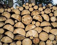Long-lived wood products are significant carbon capturers