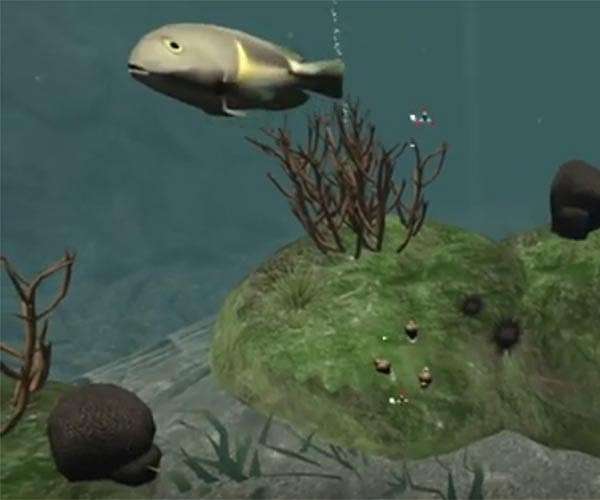 Rapid evolution fuels transcriptional plasticity in fish species to cope with ocean acidification