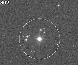 The Universe's Most Massive Stars Can Form In Near Isolation