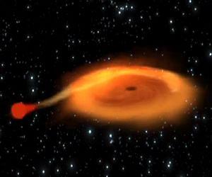 Black hole-star pair orbiting at dizzying speed