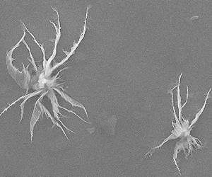 Functionalized graphene oxide plays part in next-generation oil-well drilling fluids