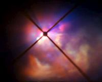 Aging star's weight loss secret revealed
