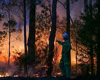 Self-powered alarm fights forest fires, monitors environment