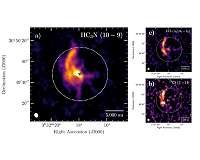 A growing stellar system directly fed by the mother cloud