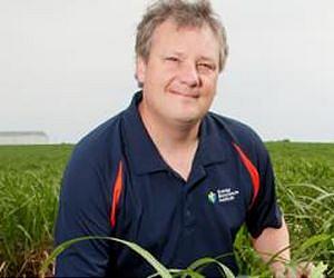 Maps of Miscanthus genome offer insight into grass evolution
