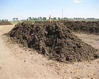 Mooving manure beyond drug-resistant bacteria