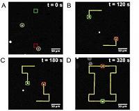 A new method of trapping multiple particles using fluidics