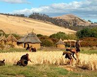 Mass grave site yields evidence of Stone Age massacre