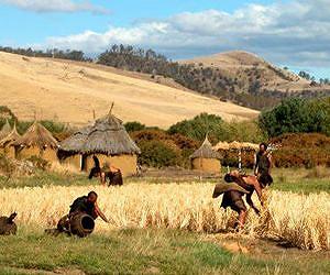 Genes shed light on spread of agriculture in Stone Age Europe