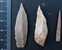 Stone tools from Jordan point to dawn of division of labor