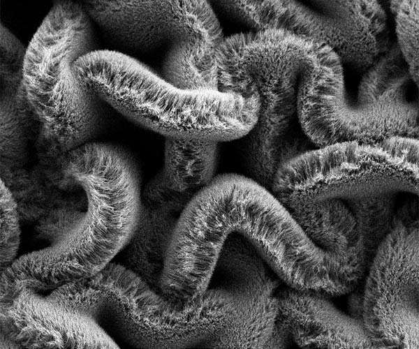 Surrey researchers reveal the hidden behaviour of supercapacitor materials