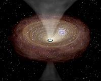 Dense molecular gas disks drive the growth of supermassive black holes