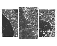 Making stronger concrete with 'sewage-enhanced' steel slag