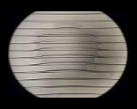 Bio-inspired tire design: Where the rubber meets the road