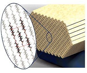 Cellulose nanocrystals possible 'green' wonder material