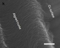 Dry adhesive holds in extreme cold, strengthens in extreme heat