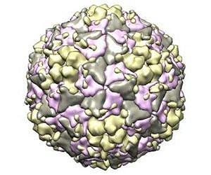 Diamond sheds light on basic building blocks of life