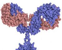 No more money and time down the drain say antibody experts in Nature