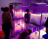 Student Scientists Select Menu for Astronauts