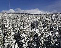 Snow makes migrants' journey through Europe even harder