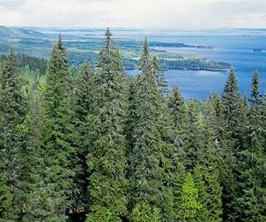 Climate in northern Europe reconstructed for the past 2,000 years