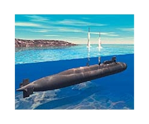 Taiwan testfires own sub-launched missile: report